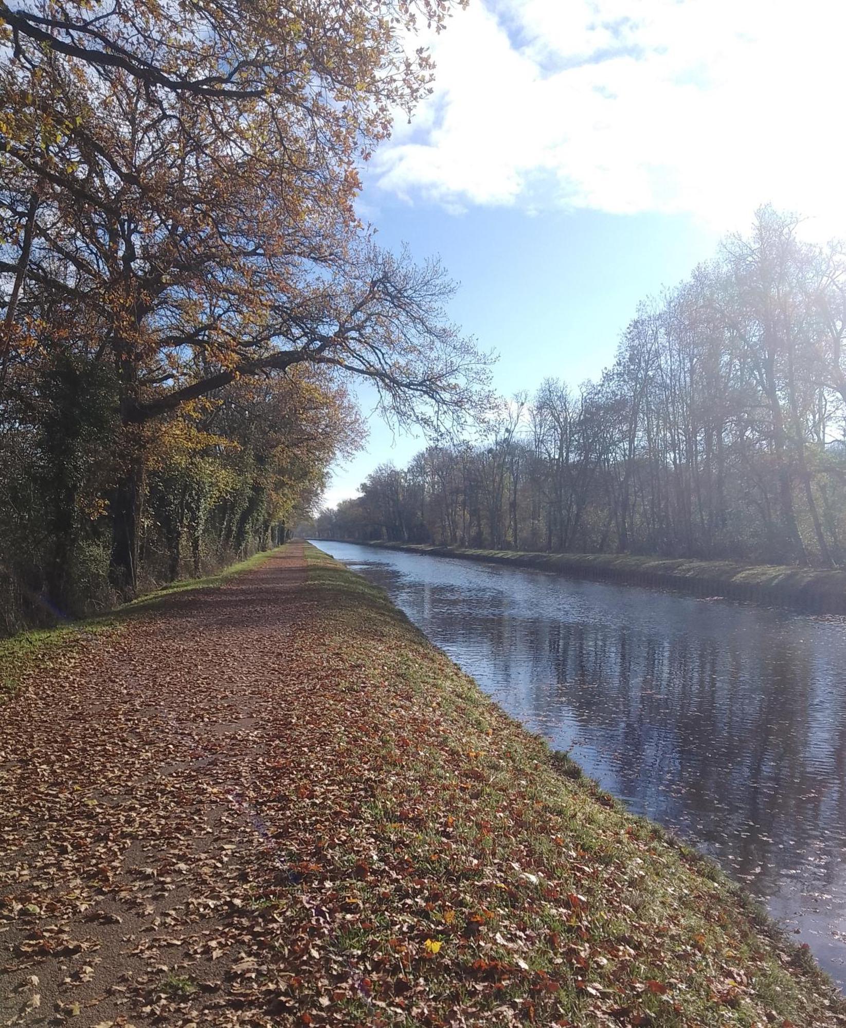 La Halte Du Canal Luthenay-Uxeloup Extérieur photo